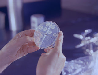 Microbiome-Tracker: Selbst messen? So spannend ist der Blick auf die eigene Darmflora
