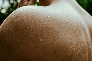 Lactobacillus paracasei Neurodermitits