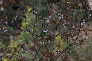 10 Tipps gegen Winter-Heuschnupfen