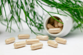 Allergien und das Darmmikrobiom